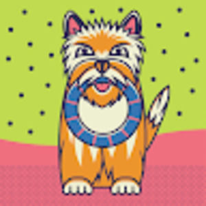 Meet your Posher, Jovan